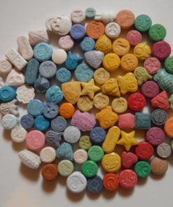 Molly Buy – Bild 2